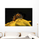Tiny and Rare Placida Wall Decal