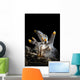 Pokeman Nudibranch Tulamben Bali Wall Decal