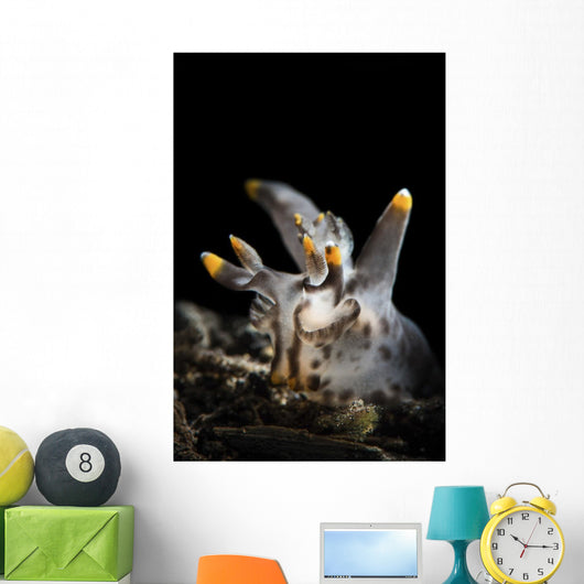 Pokeman Nudibranch Tulamben Bali Wall Decal