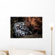 Cleaner Shrimp Surround Den Wall Decal