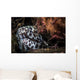 Cleaner Shrimp Surround Den Wall Decal