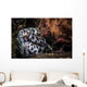 Cleaner Shrimp Surround Den Wall Decal