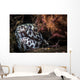 Cleaner Shrimp Surround Den Wall Decal