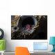 Tiny Shrimp inside Tube Wall Decal