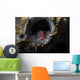 Tiny Shrimp inside Tube Wall Decal