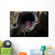 Tiny Shrimp inside Tube Wall Decal