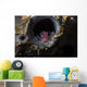 Tiny Shrimp inside Tube Wall Decal