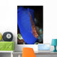 Goby Has Laid Eggs Wall Decal