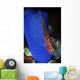 Goby Has Laid Eggs Wall Decal
