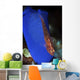 Goby Has Laid Eggs Wall Decal