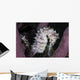 White Seahorse Tulamben Bali Wall Decal