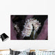 White Seahorse Tulamben Bali Wall Decal