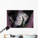 White Seahorse Tulamben Bali Wall Decal