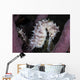White Seahorse Tulamben Bali Wall Decal