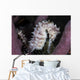 White Seahorse Tulamben Bali Wall Decal