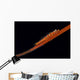 Loki Whip Goby with Wall Decal