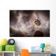 Tiny Spotted Amphipod Tulamben Wall Decal