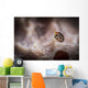 Tiny Spotted Amphipod Tulamben Wall Decal
