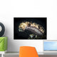 Sea Cucumber Climbs High Wall Decal