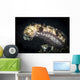 Sea Cucumber Climbs High Wall Decal