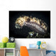 Sea Cucumber Climbs High Wall Decal