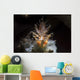 Spiny Tiger Shrimp Tulamben Wall Decal