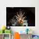 Spiny Tiger Shrimp Tulamben Wall Decal
