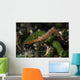 Long Nose Rock Shrimp Wall Decal