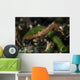 Long Nose Rock Shrimp Wall Decal