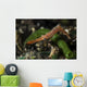 Long Nose Rock Shrimp Wall Decal