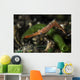 Long Nose Rock Shrimp Wall Decal