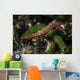 Long Nose Rock Shrimp Wall Decal