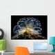 Cyerce Elegans Nudibranch Tulamben Close-up Wall Decal