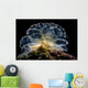 Cyerce Elegans Nudibranch Tulamben Close-up Wall Decal