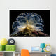 Cyerce Elegans Nudibranch Tulamben Close-up Wall Decal