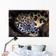 Cleaner Shrimp Searches for Wall Decal