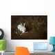 Very Small Nudibranch Tulamben Wall Decal