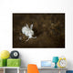 Very Small Nudibranch Tulamben Wall Decal