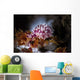 Egg Cowrie Tulamben Bali Wall Decal