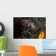 Commensal Shrimp Anemone Tulamben Wall Decal