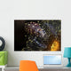 Commensal Shrimp Anemone Tulamben Wall Decal
