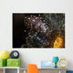 Commensal Shrimp Anemone Tulamben Wall Decal