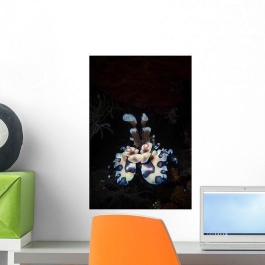 Harlequin Shrimp Tulamben Bali Vertical Wall Decal