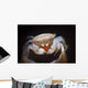 Small Tube Sponge Crab Wall Decal