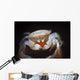 Small Tube Sponge Crab Wall Decal