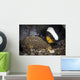 Anemone Fish Aerates Its Wall Decal