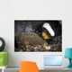 Anemone Fish Aerates Its Wall Decal