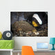 Anemone Fish Aerates Its Wall Decal