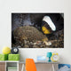 Anemone Fish Aerates Its Wall Decal
