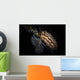 Donut Nudibranch Tulamben Bali Wall Decal